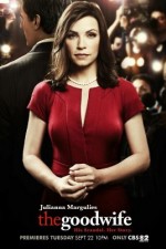 Watch Letmewatchthis The Good Wife Online